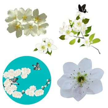 Hruška Biele Kvety Zdobia Lístkov Prenos Tepla Módne Appliques pre Oblečenie, Termo Nálepky na Oblečenie žehličky na Patch
